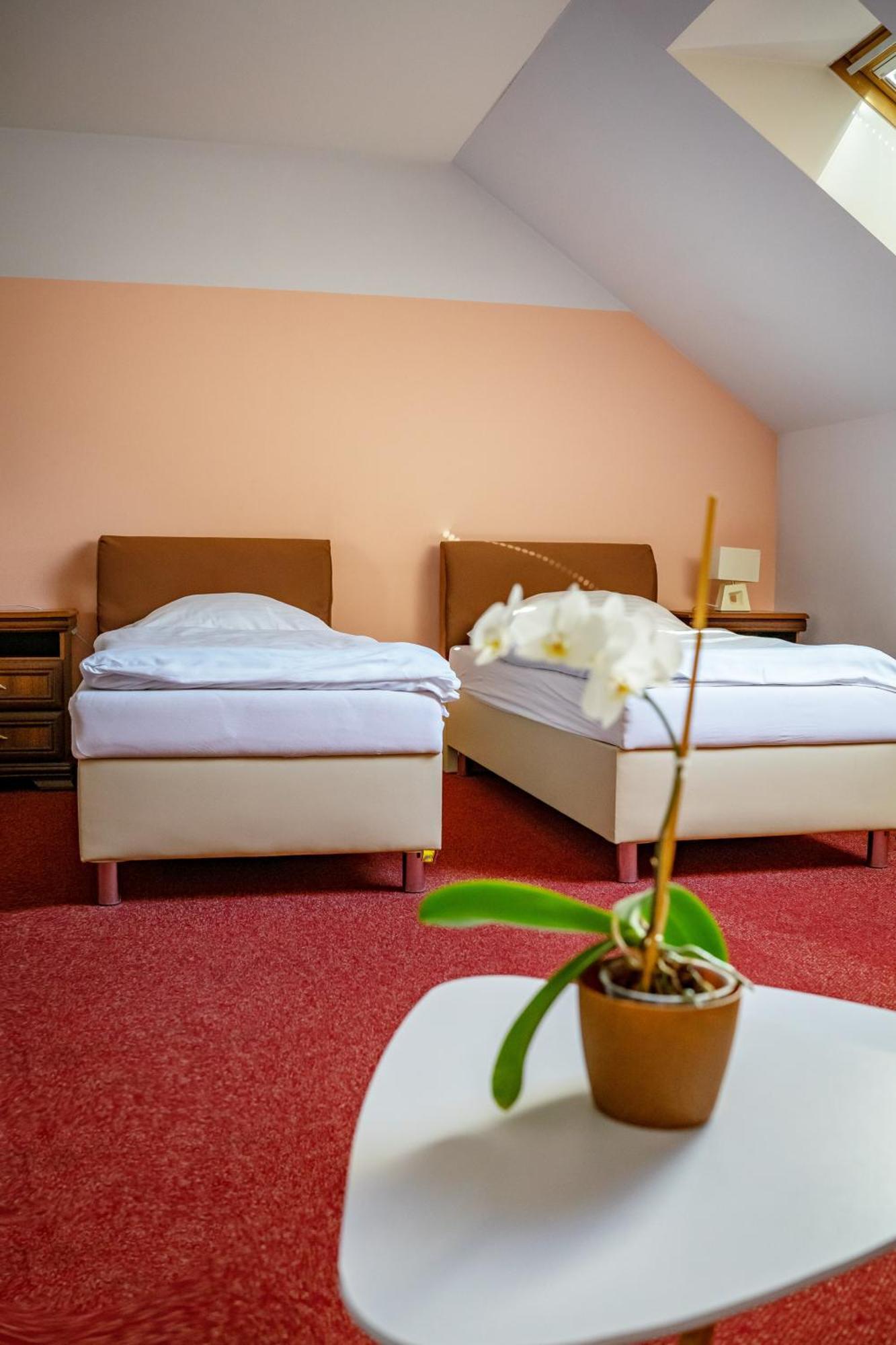 Hotel Ruzek Hranice  Eksteriør billede